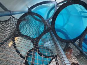 Max immediately wanted to go to the top of this tower!