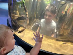 Max and Mark at the Mystic Aquarium
