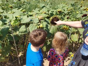 Max and Valerie on our trip to the Sunflower Maze