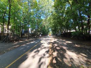 The bike path behind our house