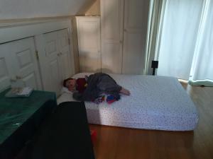 Max asleep after a hard day of moving