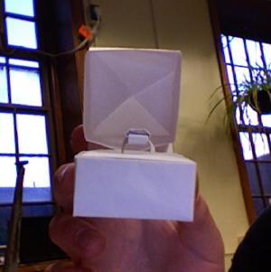 Origami ring box, open (front view)